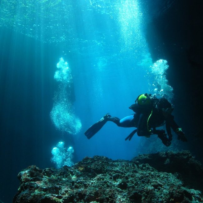 Diving in the Channel Islands