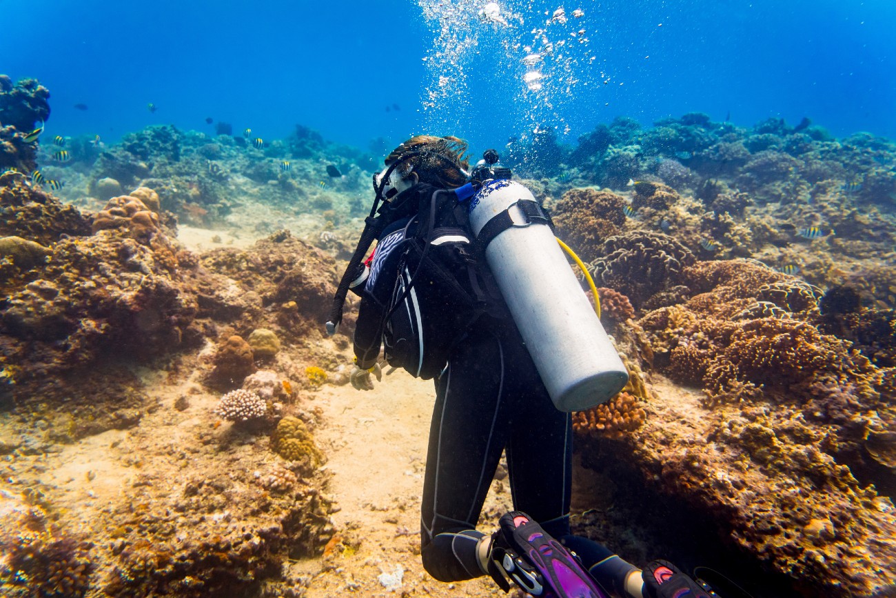 Scuba Diving in Guernsey