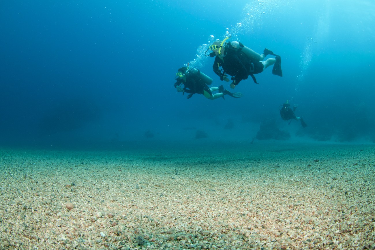 Scuba Diving in Alderney