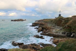Visit the Wildlife Bunker in Alderney Island