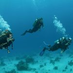 Discover the Best Scuba Diving in the UK Channel Islands