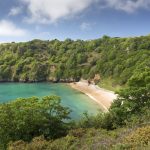 From Guernsey to Alderney_ Walking Holidays for Nature Lovers