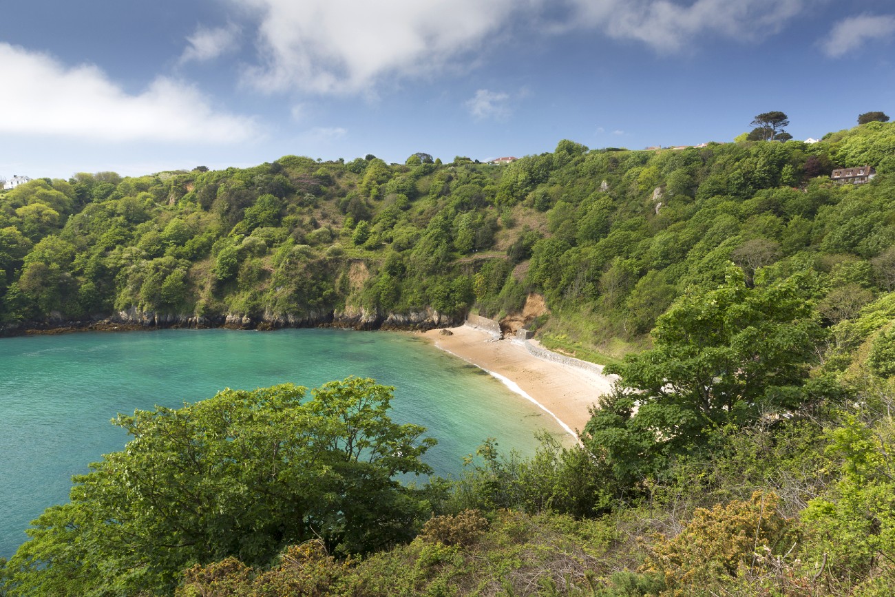 From Guernsey to Alderney_ Walking Holidays for Nature Lovers