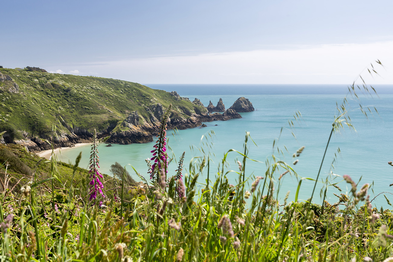 Nature's Sanctuary of Guernsey island