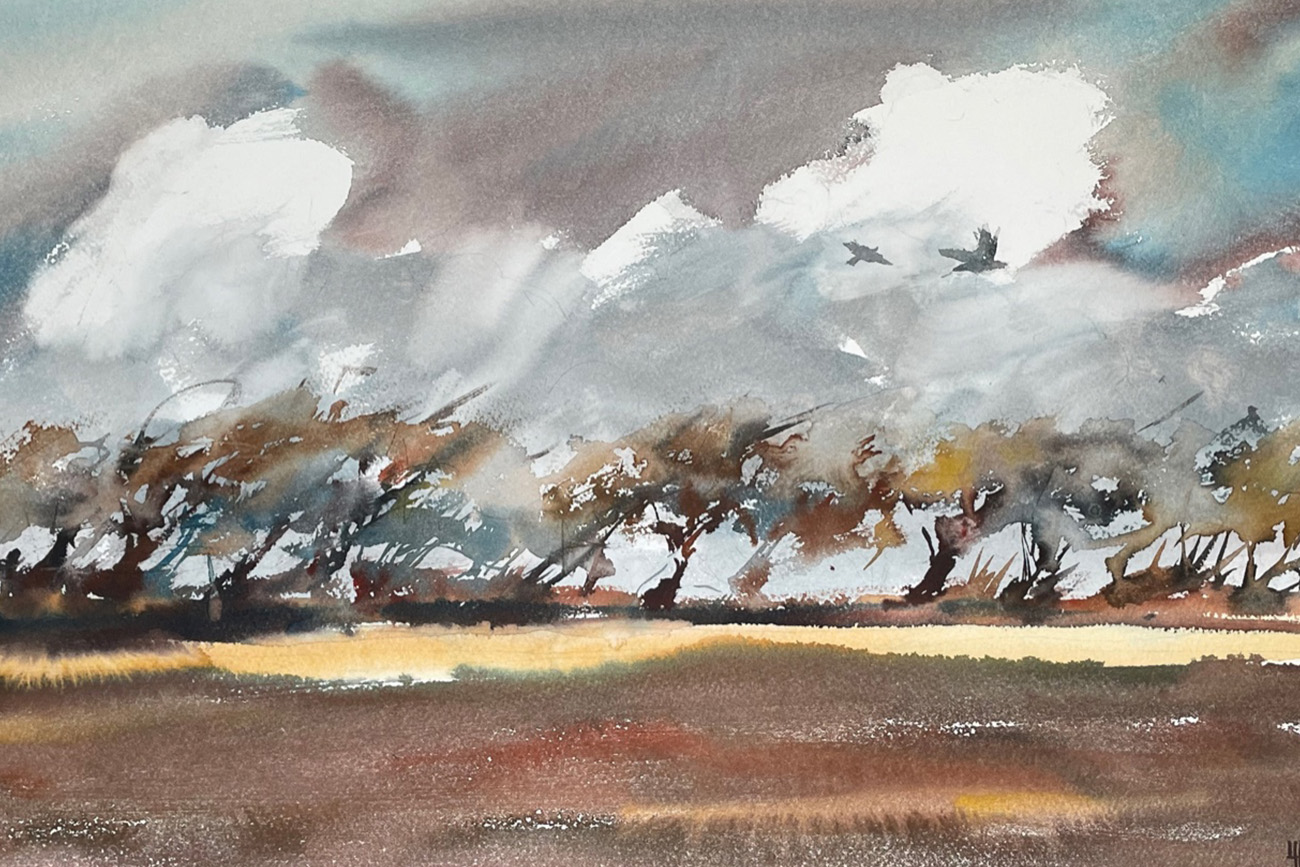 Crows playing in the wind - Louise Hill
