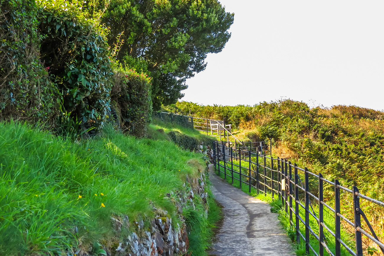 Ancient Forests of Guernsey- A Window into the Past