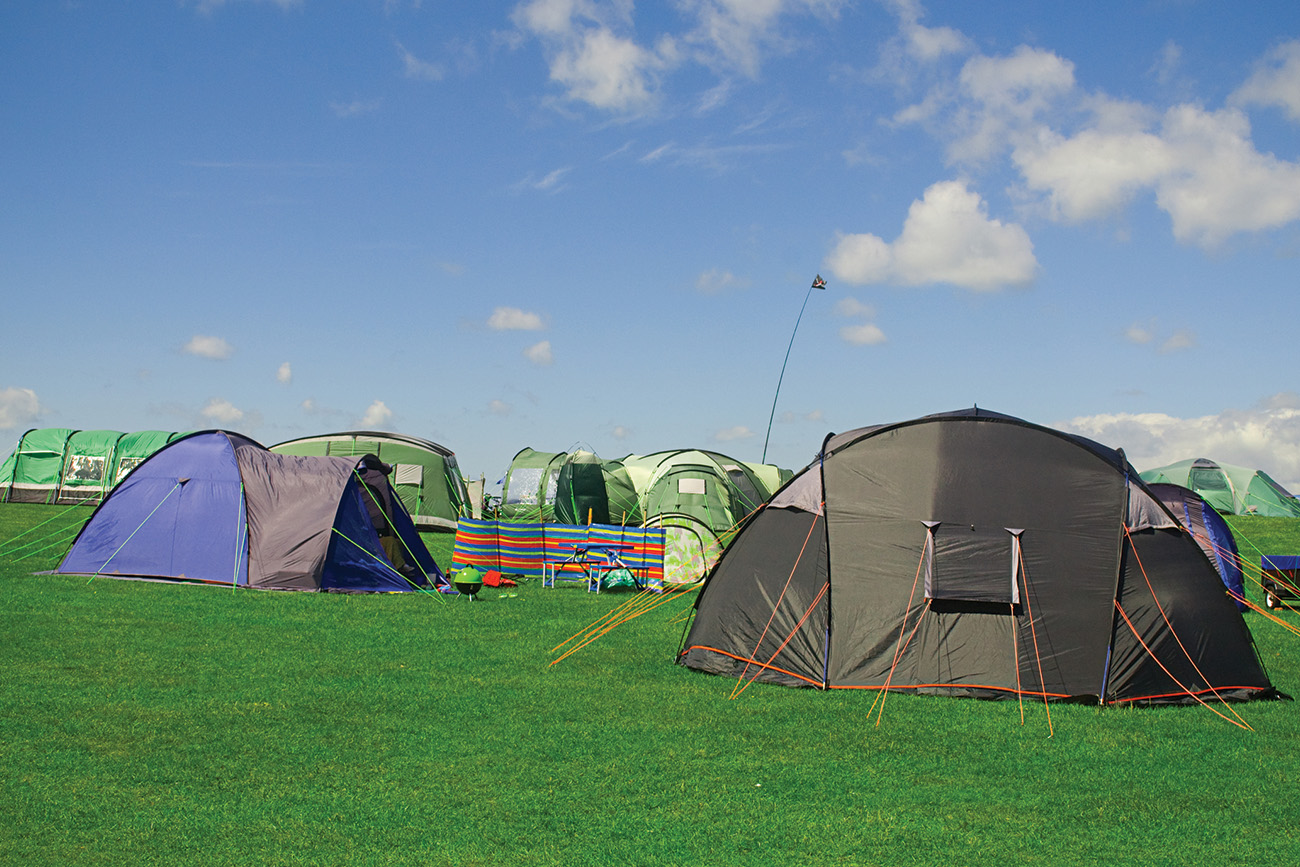 Experience coastal camping bliss at Seagull Campsite